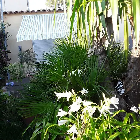 Studio Gaia Saint-Raphaël