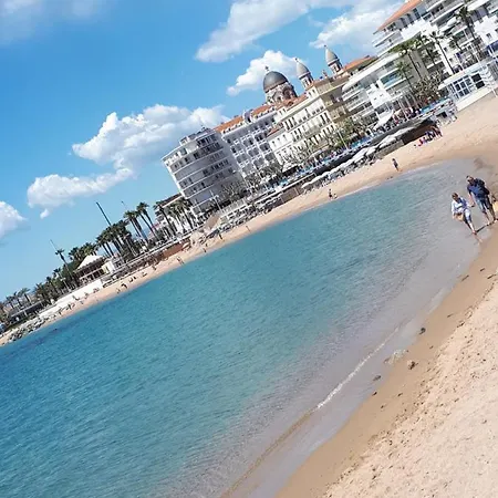 Studio Gaia Saint-Raphael (Var)